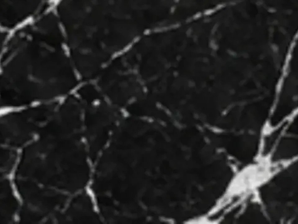 Chapa da pedra Mármore Nero Marquina